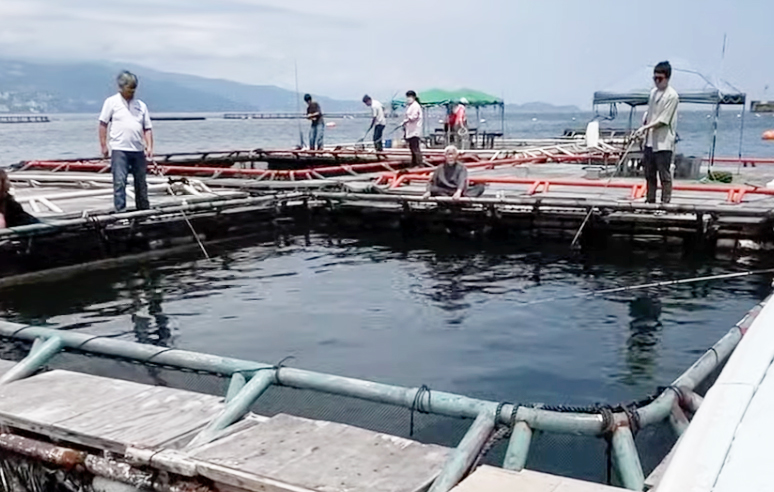 釣り